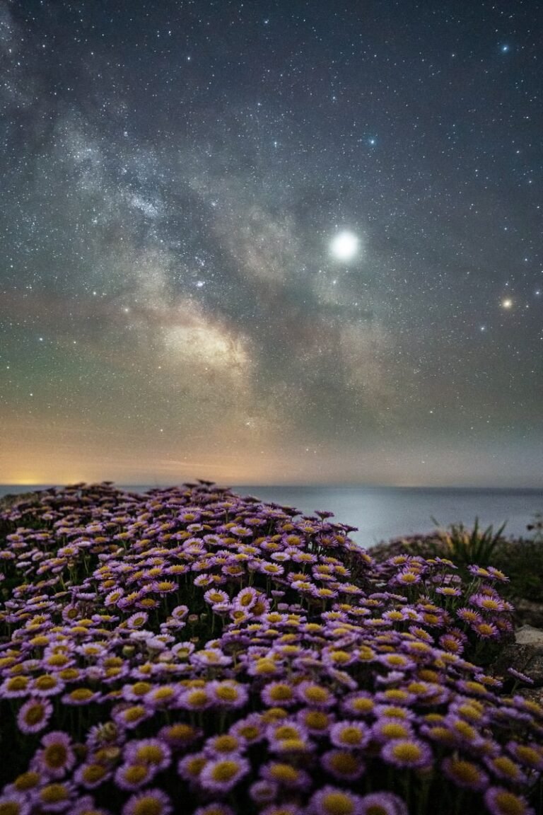 Dorset at night