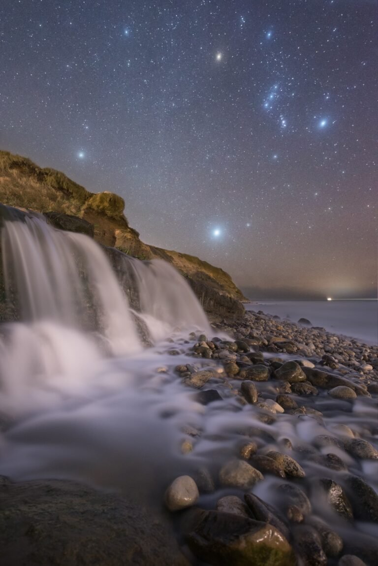 Dorset coast at night