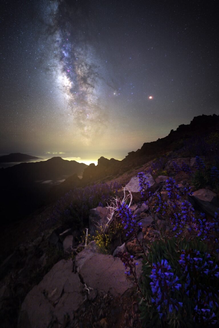 Taken on our La Palma astrophotography workshop and tour