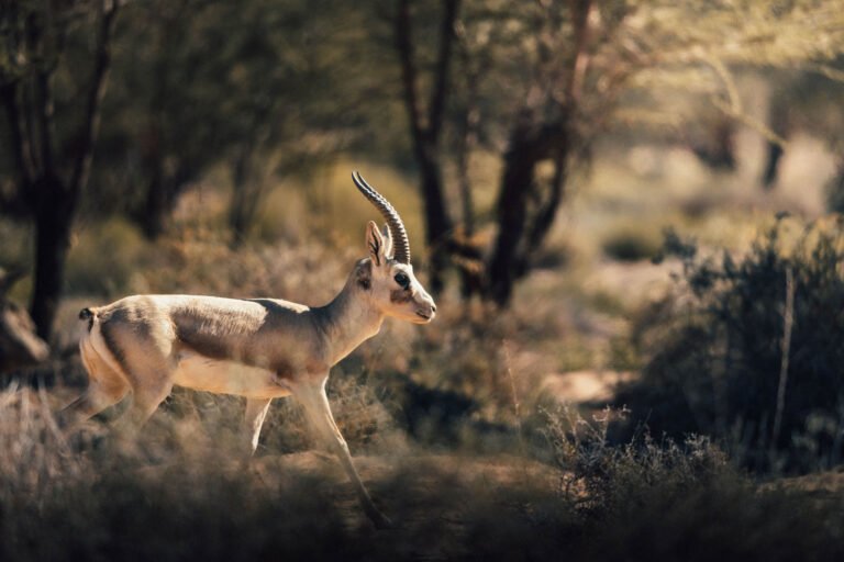Saudi Photography Workshops